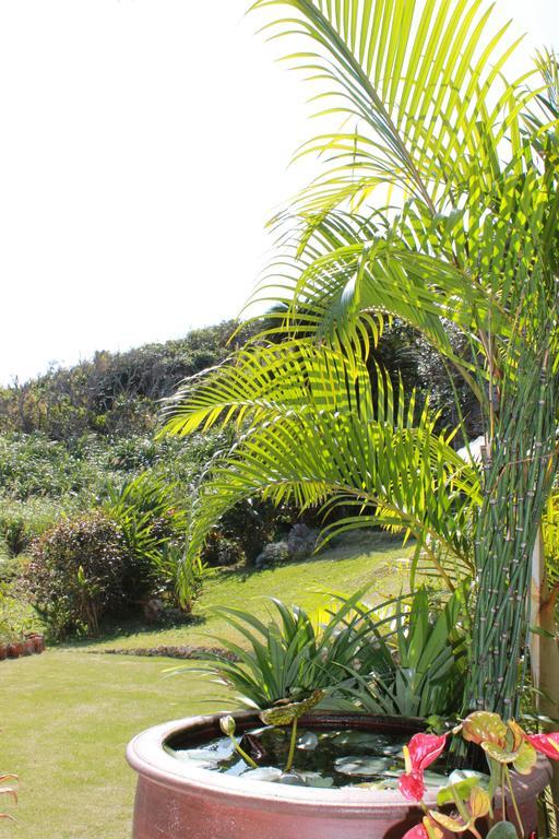La Casita Kouri Villa Накиджин Екстериор снимка